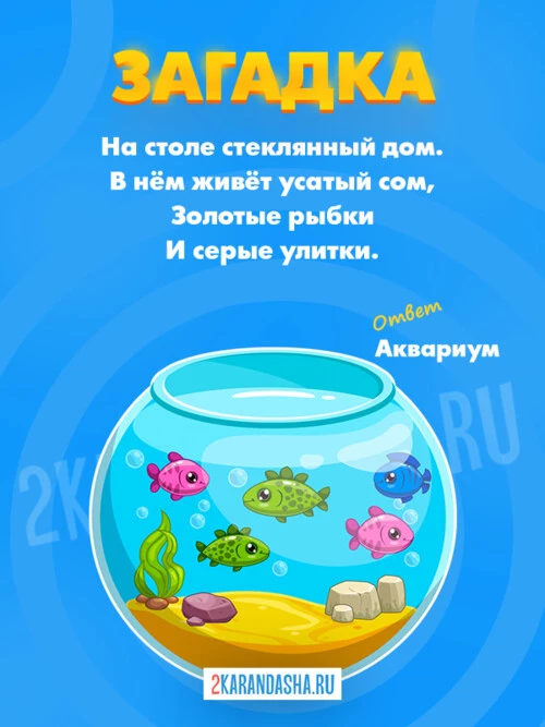 Загадки Аквариум