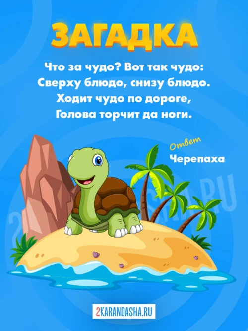 Загадки Черепаха