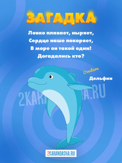 Загадки Дельфин