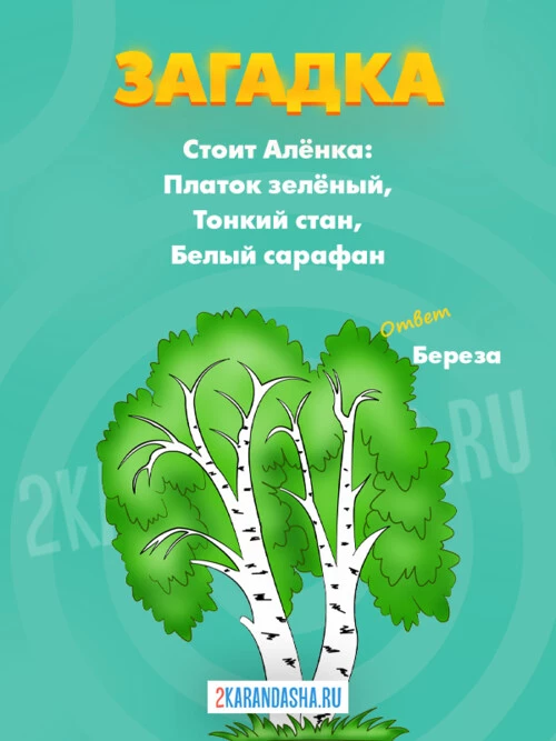 Загадки Деревья