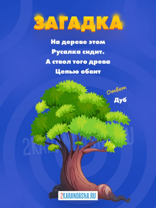 Загадки Дуб