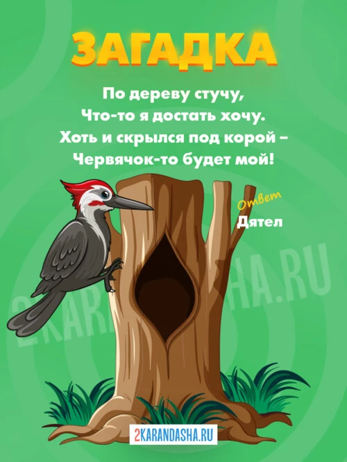Загадки Дятел