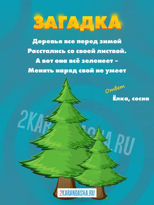 Загадки Ёлка