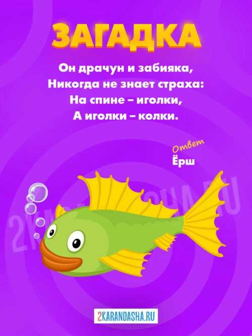 Загадки Ёрш