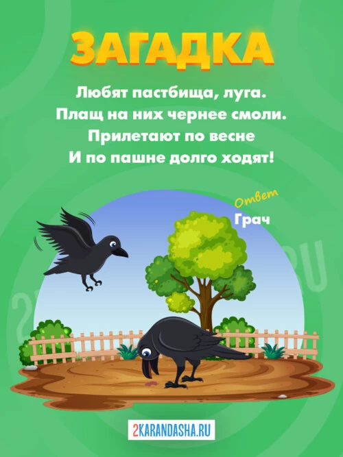 Загадки Грач