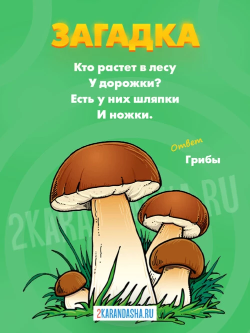 Загадки Грибы