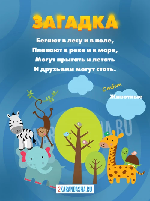 Загадки Животные