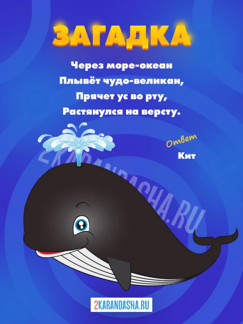 Загадки Кит