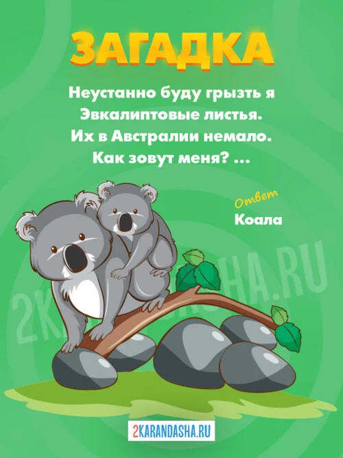 Загадки Коала