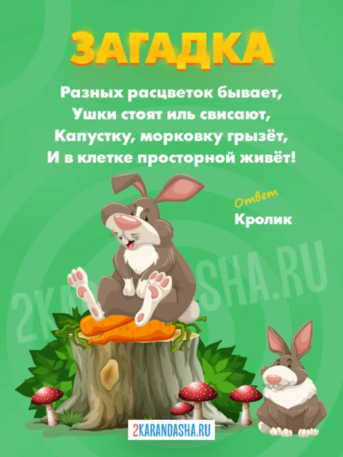 Загадки Кролик