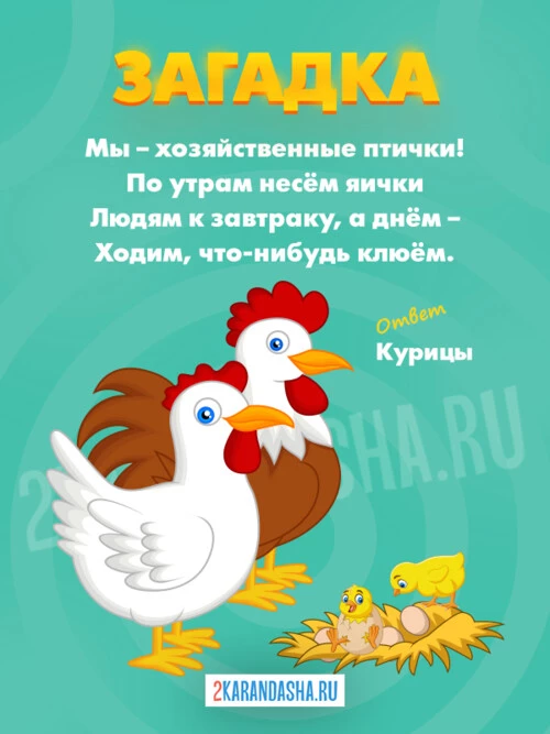 Загадки Курица