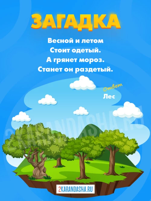 Загадки Лес