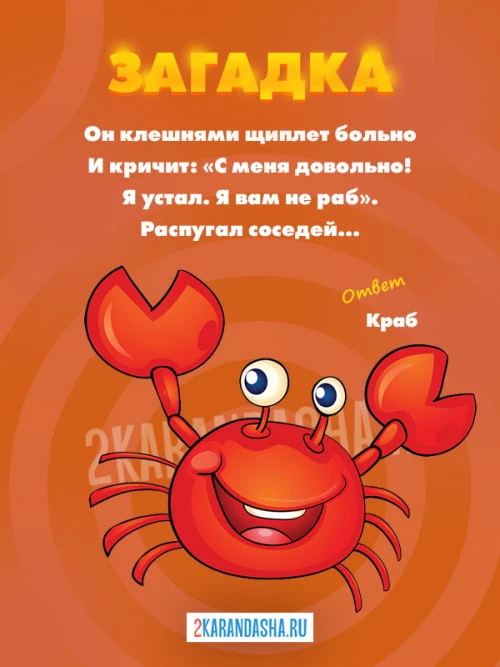 Загадки Морские обитатели