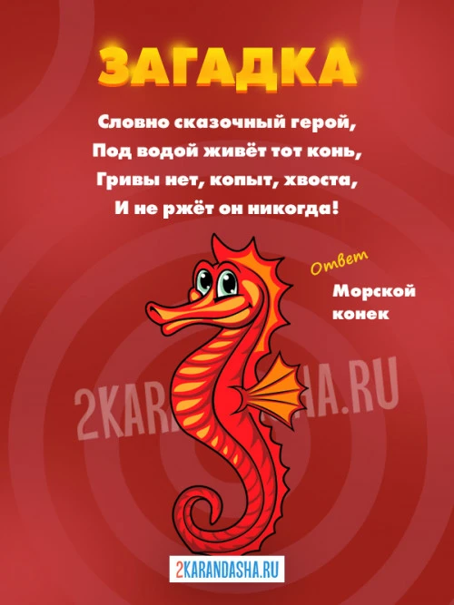 Загадки Морской конек