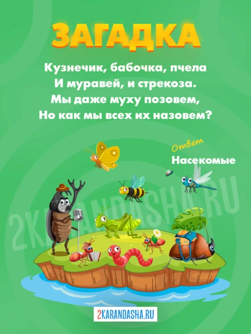 Загадки Насекомые