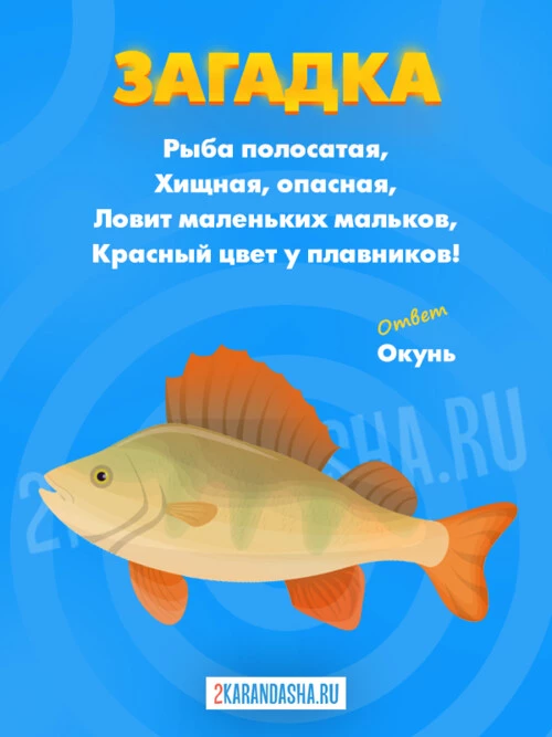 Загадки Окунь