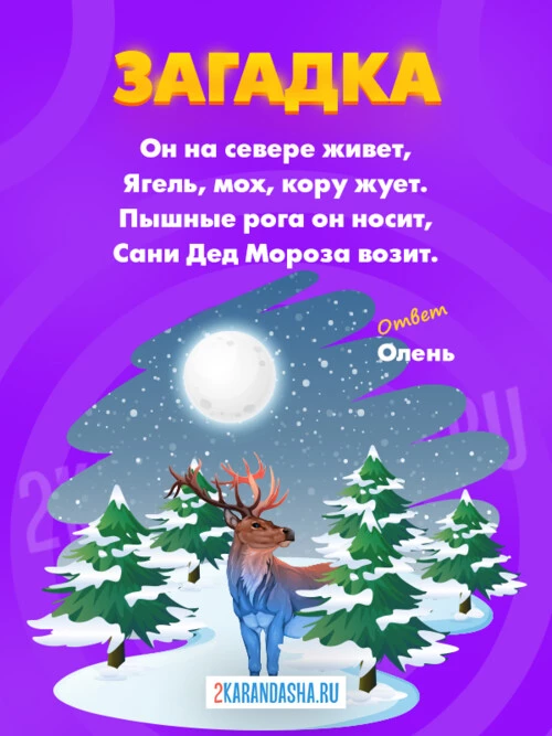 Загадки Олень