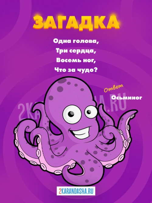 Загадки Осьминог