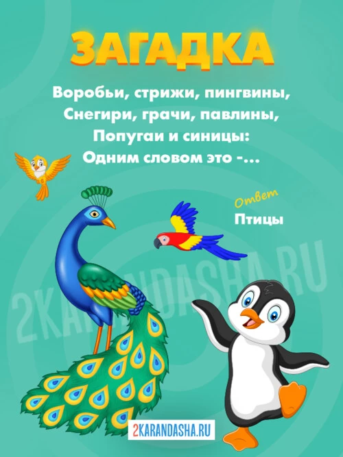 Загадки Птицы