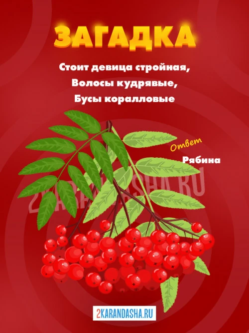 Загадки Рябина