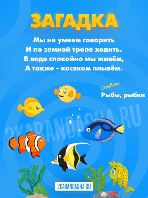 Загадки Рыбы