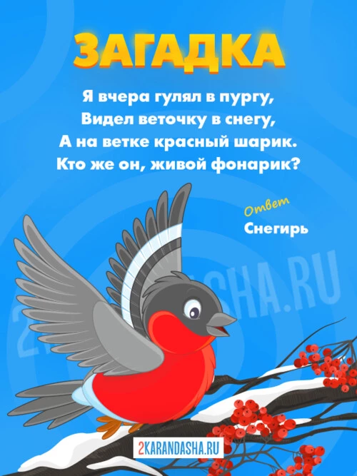 Загадки Снегирь