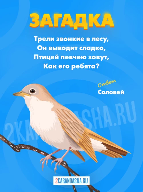 Загадки Соловей