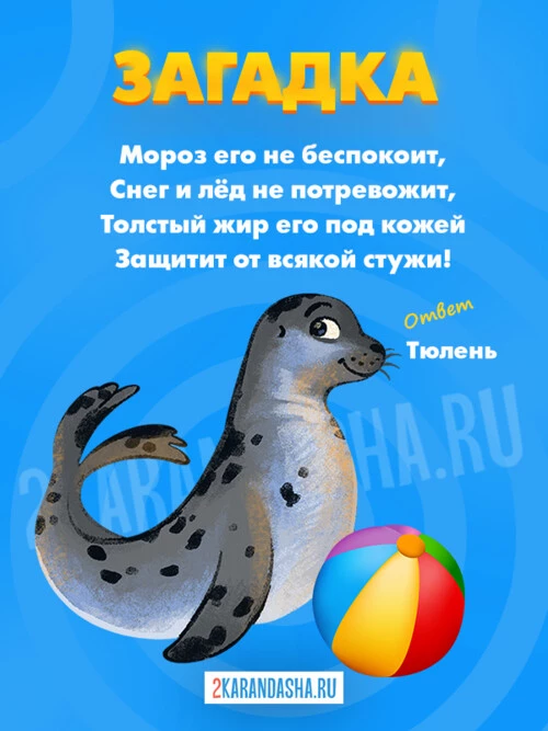 Загадки Тюлень
