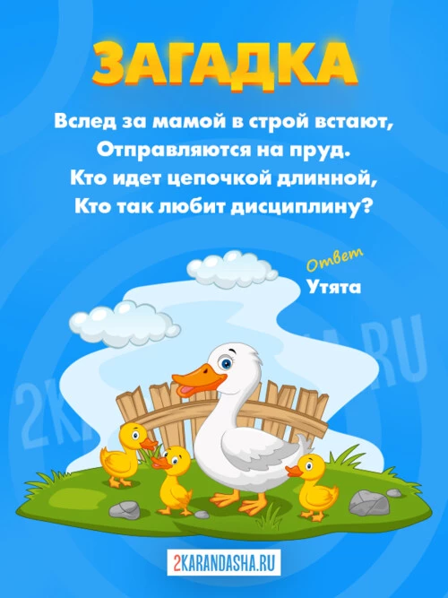 Загадки Утенок