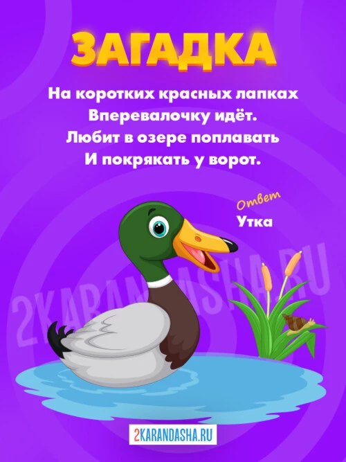 Загадки Утка