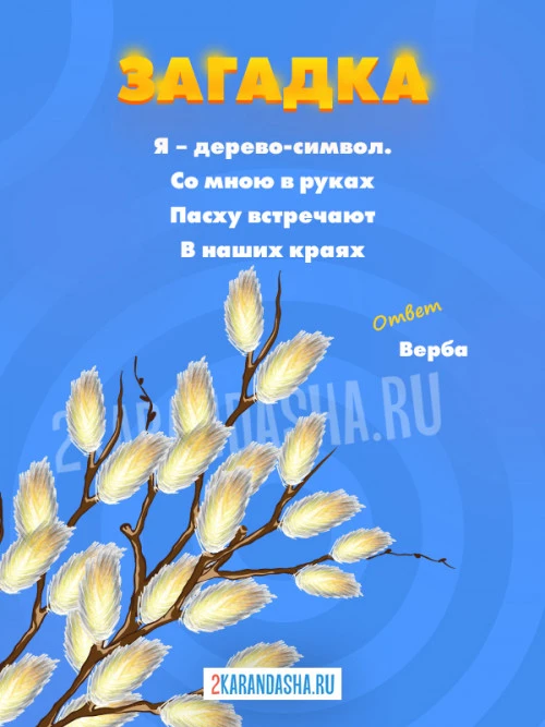 Загадки Верба