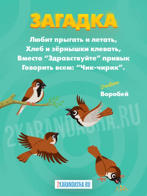 Загадки Воробей