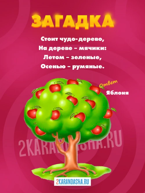 Загадки Яблоня