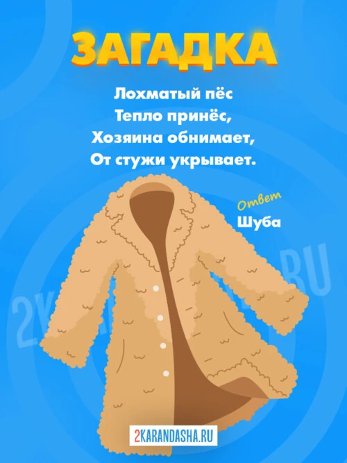 Загадки Шуба