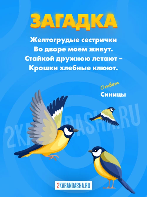 Загадки Синица