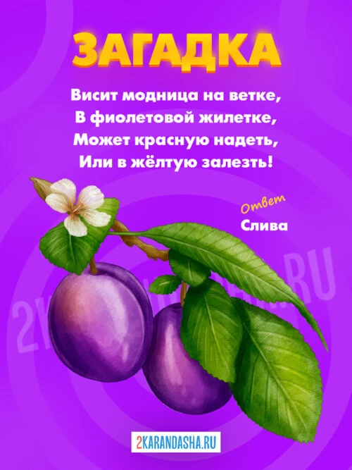 Загадки Слива