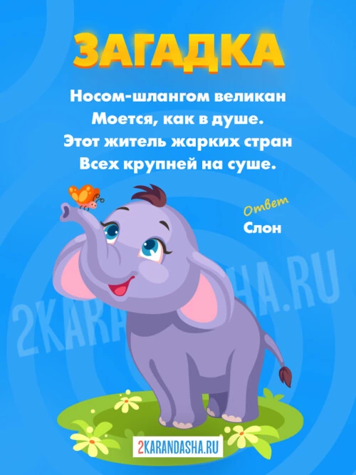 Загадки Слон