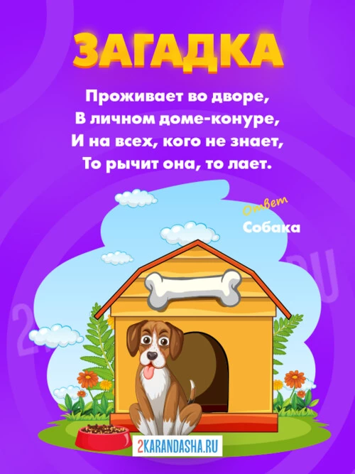 Загадки Собака