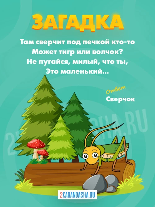 Загадки Сверчок