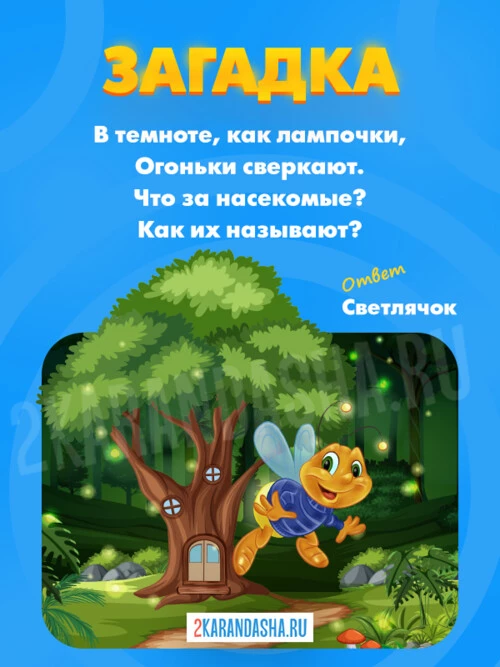 Загадки Светлячок