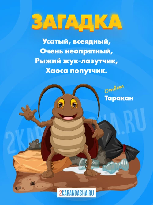 Загадки Таракан