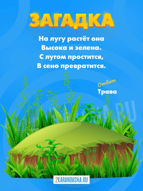 Загадки Трава