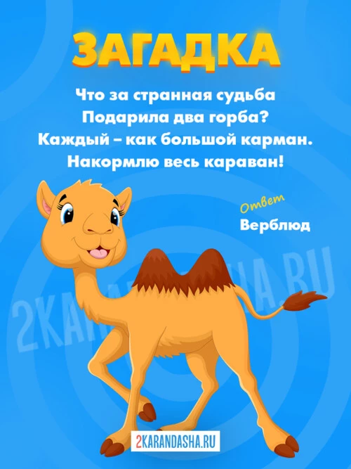 Загадки Верблюд