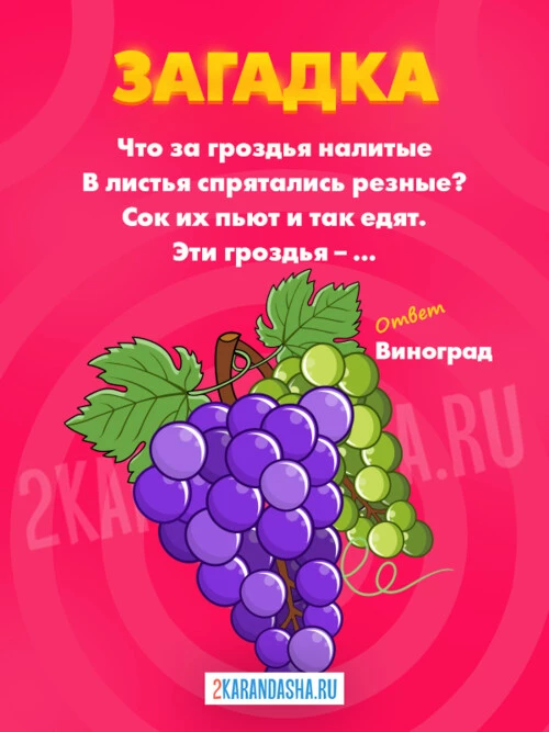 Загадки Виноград
