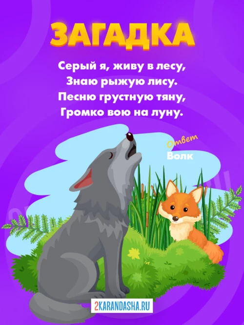 Загадки Волк