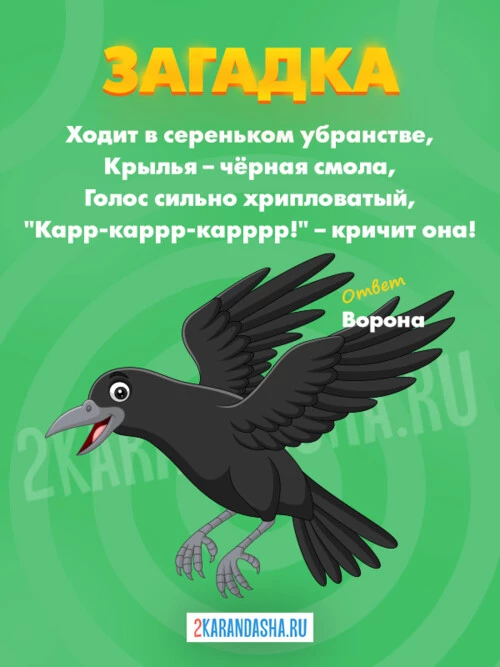 Загадки Ворона