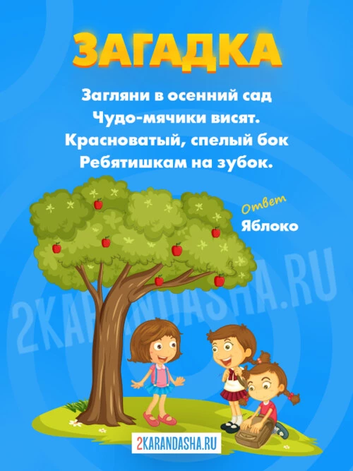 Загадки Яблоко