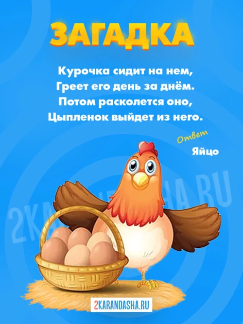Загадки Яйцо