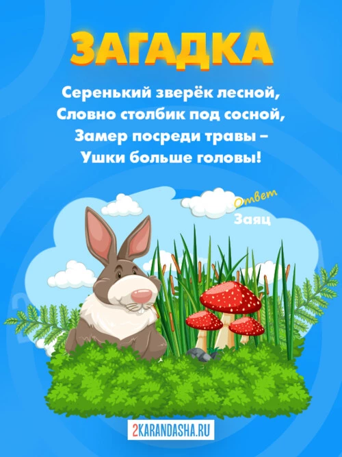 Загадки Заяц