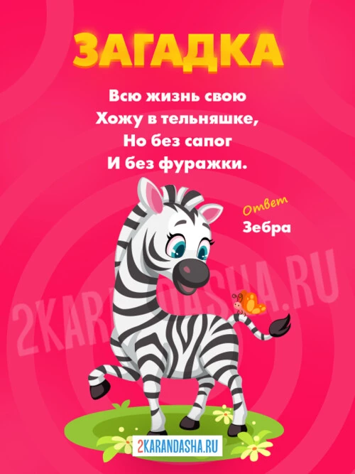 Загадки Зебра